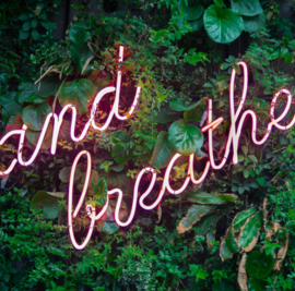 Je kunt je geboorterecht voelen! Je kunt je geboorterecht voelen!