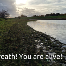 De kick van ademen; 4 dagen energiek! De kick van ademen; 4 dagen energiek!